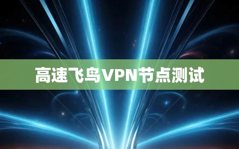 高速飞鸟VPN节点测试 高速飞鸟VPN节点测试