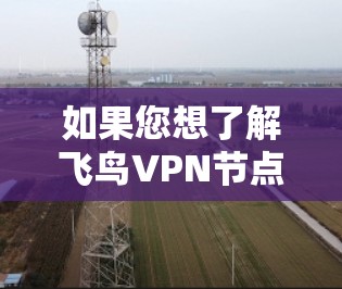 如果您想了解飞鸟VPN节点的性能，可以使用以下工具包进行测试