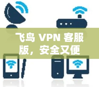 飞鸟 VPN 客服版,安全又便捷,不容错过 飞鸟 VPN 客服版,安全又便捷,不容错过