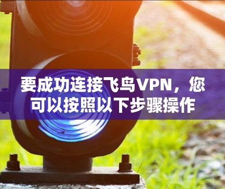 要成功连接飞鸟VPN，您可以按照以下步骤操作