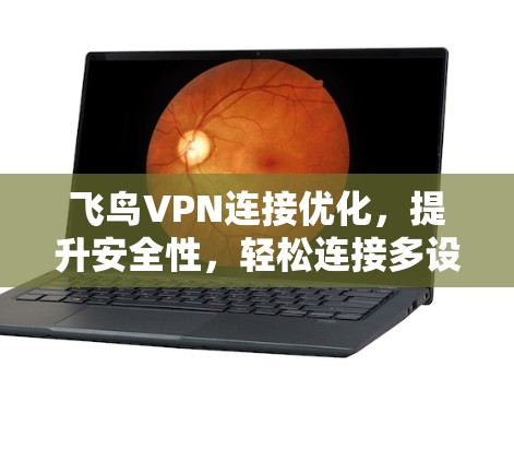 飞鸟VPN连接优化，提升安全性，轻松连接多设备