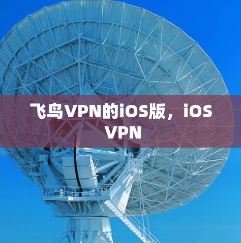 飞鸟VPN的iOS版,iOS VPN 飞鸟VPN的iOS版,iOS VPN