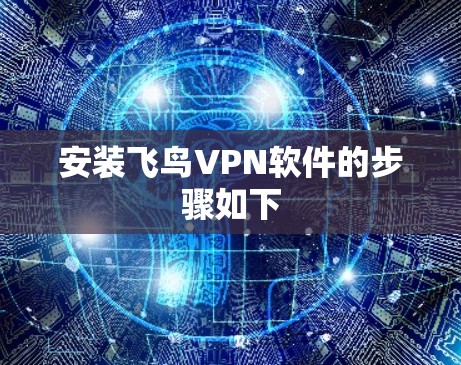 安装飞鸟VPN软件的步骤如下