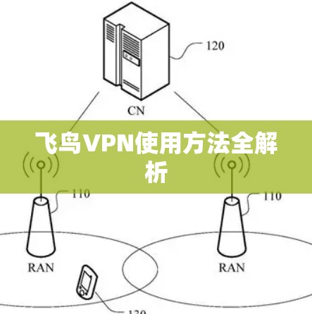 飞鸟VPN使用方法全解析 飞鸟VPN使用方法全解析