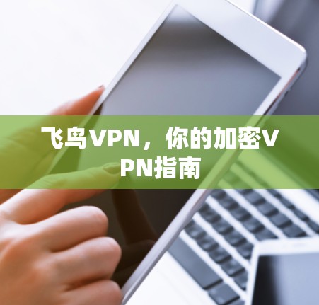 飞鸟VPN，你的加密VPN指南