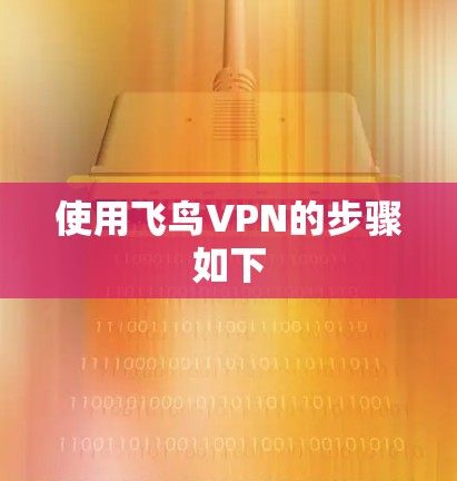 使用飞鸟VPN的步骤如下