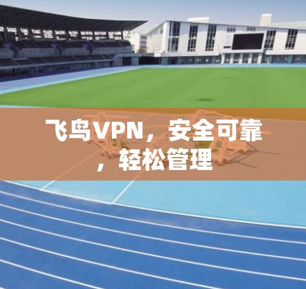 飞鸟VPN，安全可靠，轻松管理