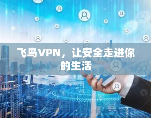 飞鸟VPN，让安全走进你的生活