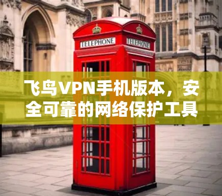 飞鸟VPN手机版本，安全可靠的网络保护工具
