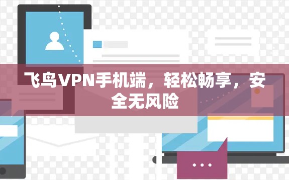 飞鸟VPN手机端，轻松畅享，安全无风险