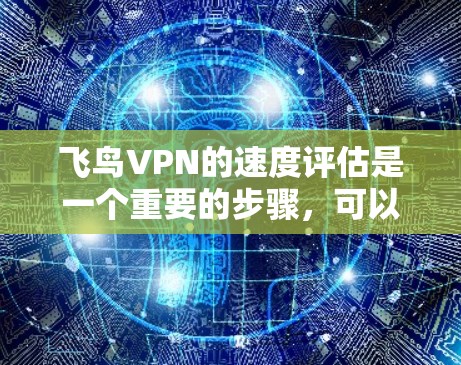 飞鸟VPN的速度评估是一个重要的步骤，可以帮助用户了解其安全性与性能。以下是对飞鸟VPN速度评估的详细说明