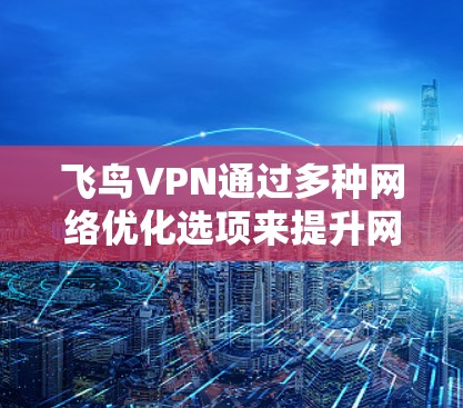飞鸟VPN通过多种网络优化选项来提升网络性能和安全性，以下是详细的网络优化指南