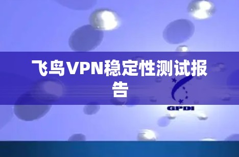 飞鸟VPN稳定性测试报告