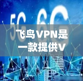 飞鸟VPN是一款提供VPN服务的软件，旨在帮助用户 securely访问互联网。下载并安装该软件后，用户可以使用其提供的加密网络连接来连接目标服务器