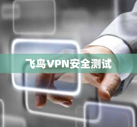 飞鸟VPN安全测试
