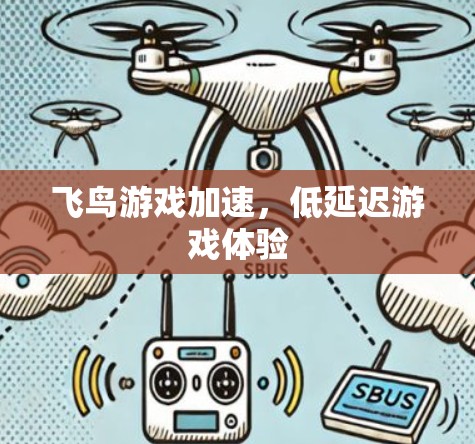 飞鸟游戏加速，低延迟游戏体验
