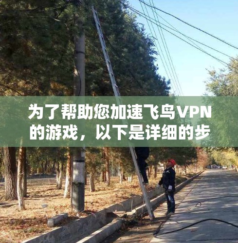 为了帮助您加速飞鸟VPN的游戏，以下是详细的步骤和建议
