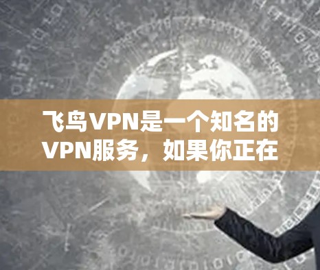 飞鸟VPN是一个知名的VPN服务，如果你正在寻找一个安全可靠的VPN平台，可以参考以下信息