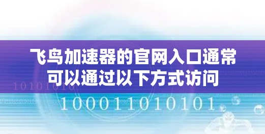 飞鸟加速器的官网入口通常可以通过以下方式访问