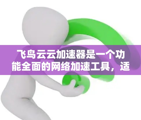 飞鸟云云加速器是一个功能全面的网络加速工具，适合多种网络环境下的用户使用。以下是对该工具的总结和建议