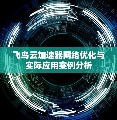 飞鸟云加速器网络优化与实际应用案例分析 飞鸟云加速器网络优化与实际应用案例分析