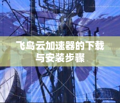 飞鸟云加速器的下载与安装步骤