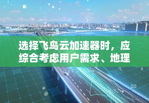 选择飞鸟云加速器时，应综合考虑用户需求、地理位置、预算、技术支持以及业务需求等因素。以下是对不同地区的飞鸟云加速器的详细介绍