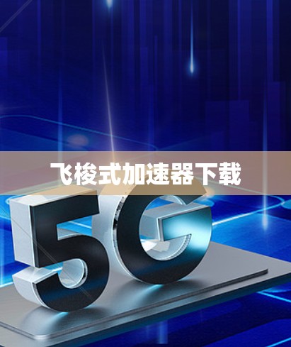 飞梭式加速器下载