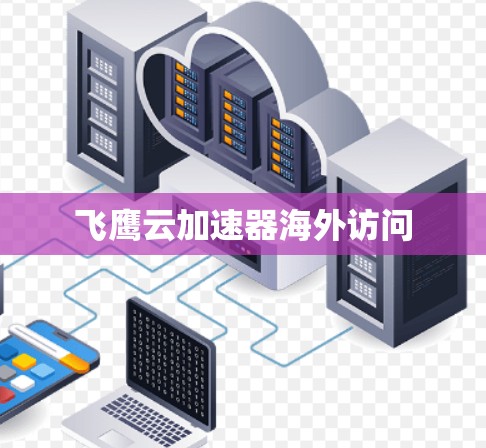 飞鹰云加速器海外访问 飞鹰云加速器海外访问