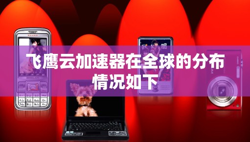 飞鹰云加速器在全球的分布情况如下