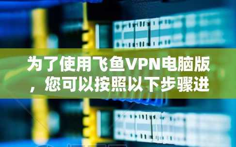 为了使用飞鱼VPN电脑版，您可以按照以下步骤进行