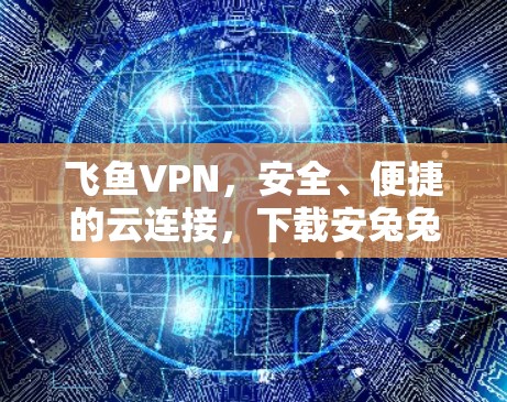 飞鱼VPN，安全、便捷的云连接，下载安兔兔检测，体验更安心