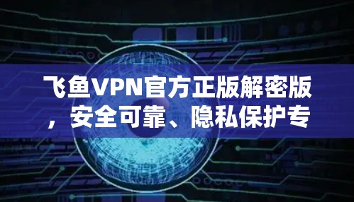 飞鱼VPN官方正版解密版，安全可靠、隐私保护专家
