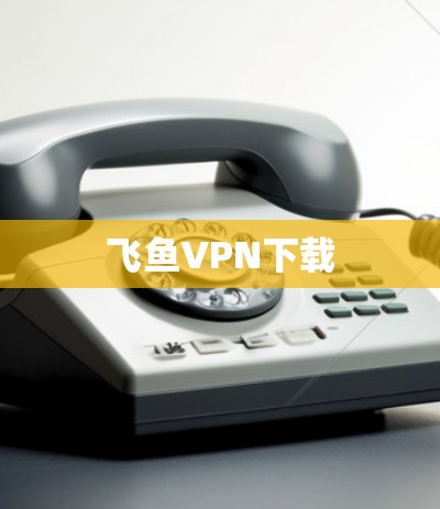 飞鱼VPN下载