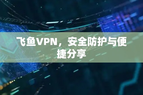 飞鱼VPN，安全防护与便捷分享