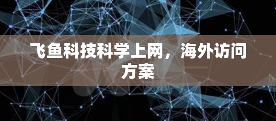 飞鱼科技科学上网,海外访问方案 飞鱼科技科学上网,海外访问方案