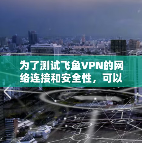 为了测试飞鱼VPN的网络连接和安全性，可以按照以下步骤进行操作
