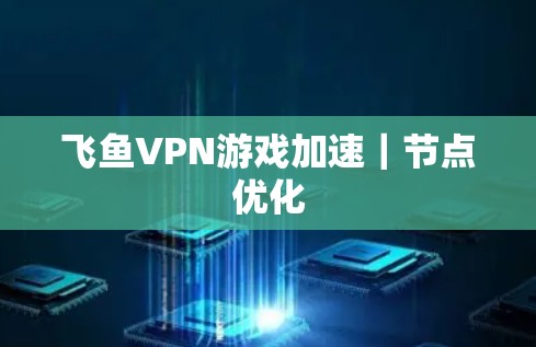 飞鱼VPN游戏加速｜节点优化