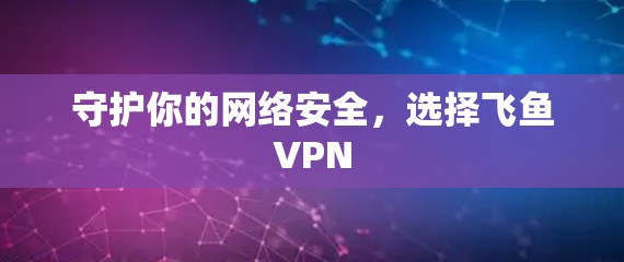 守护你的网络安全，选择飞鱼VPN