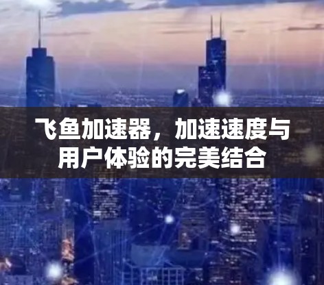 飞鱼加速器，加速速度与用户体验的完美结合