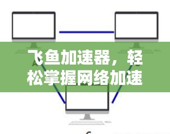 飞鱼加速器，轻松掌握网络加速的高效方法