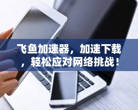 飞鱼加速器，加速下载，轻松应对网络挑战！
