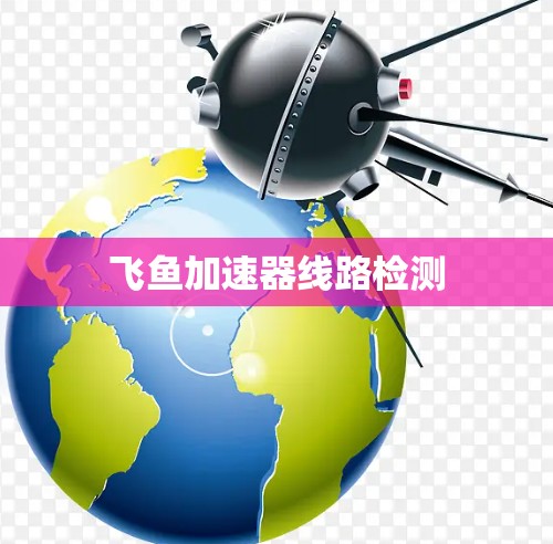 飞鱼加速器线路检测