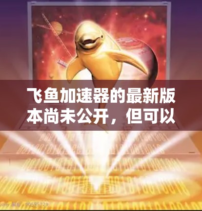 飞鱼加速器的最新版本尚未公开，但可以参考以下信息