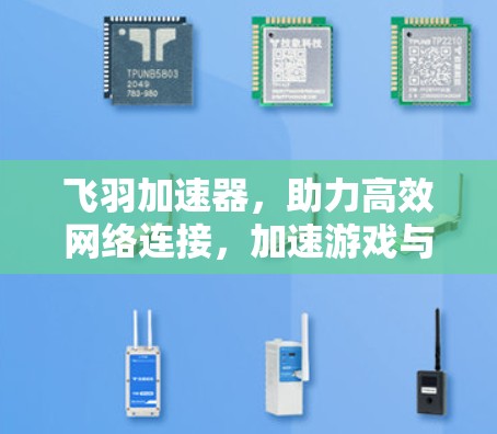 飞羽加速器，助力高效网络连接，加速游戏与生活
