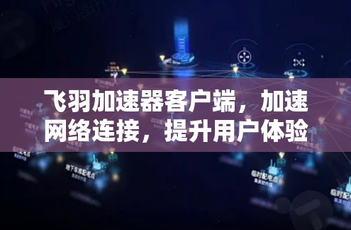 飞羽加速器客户端，加速网络连接，提升用户体验！