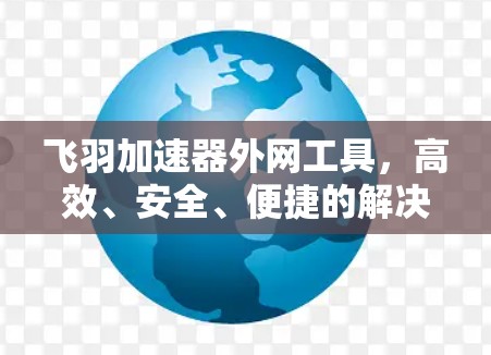 飞羽加速器外网工具，高效、安全、便捷的解决方案