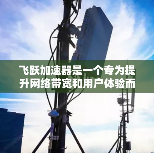 飞跃加速器是一个专为提升网络带宽和用户体验而设计的工具，支持多种网络协议和网络接口。如果您需要使用外部工具来配置或管理飞跃加速器，以下是一些常用的方法和工具