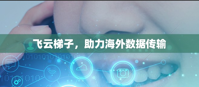 飞云梯子，助力海外数据传输