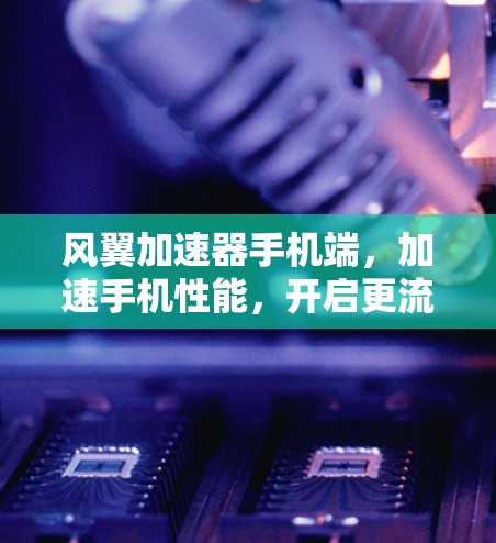 风翼加速器手机端，加速手机性能，开启更流畅的娱乐体验
